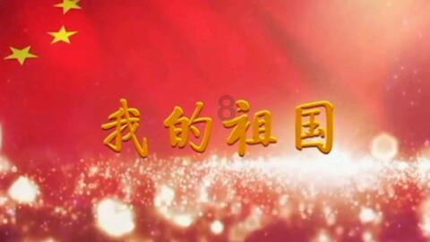 小手拉大手共同营造安全交通环境